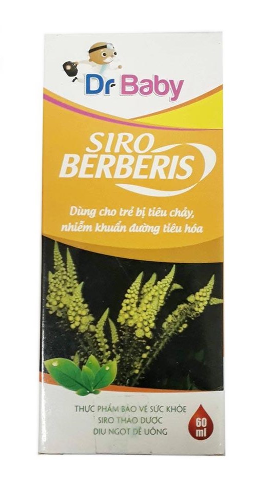 Siro cầm tiêu chảy siro Berberis dp Dược khoa (Hộp 1 lọ )