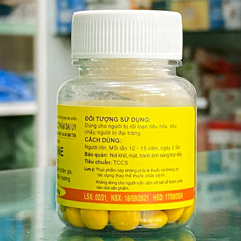 Viên uống hỗ trợ tiêu chảy BECBERZINE (Đại Uy) lọ 100 viên